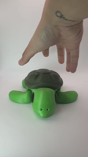 Tortuga: Movimiento lento, diversión rápida